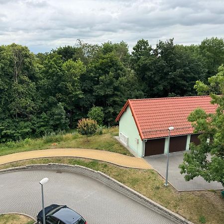 Bozki Apartament Kętrzyn Eksteriør bilde