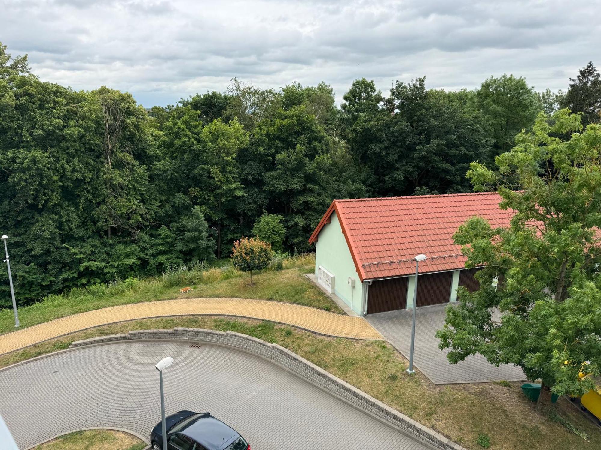 Bozki Apartament Kętrzyn Eksteriør bilde